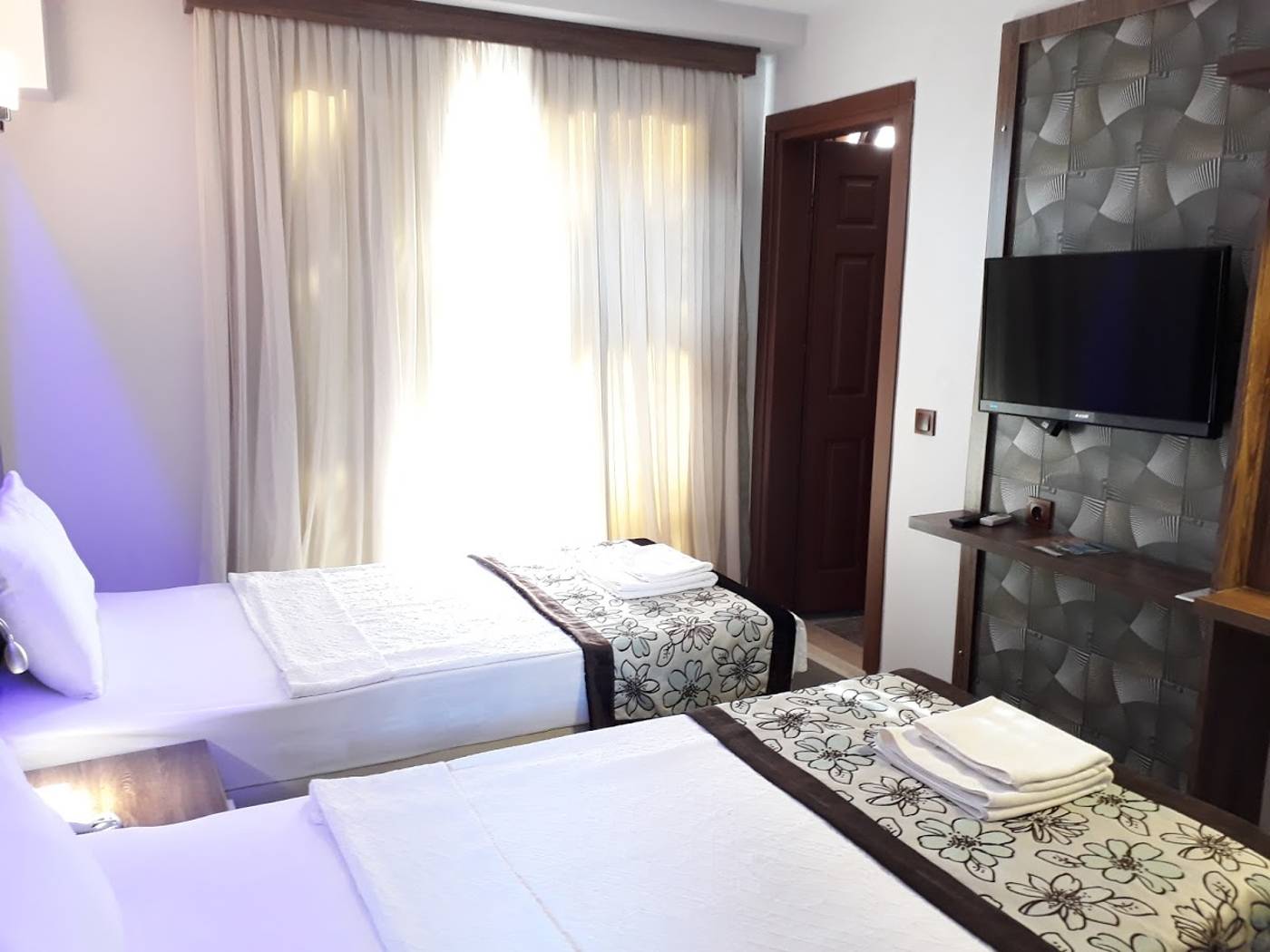 Dolphin-Apart-Room-22