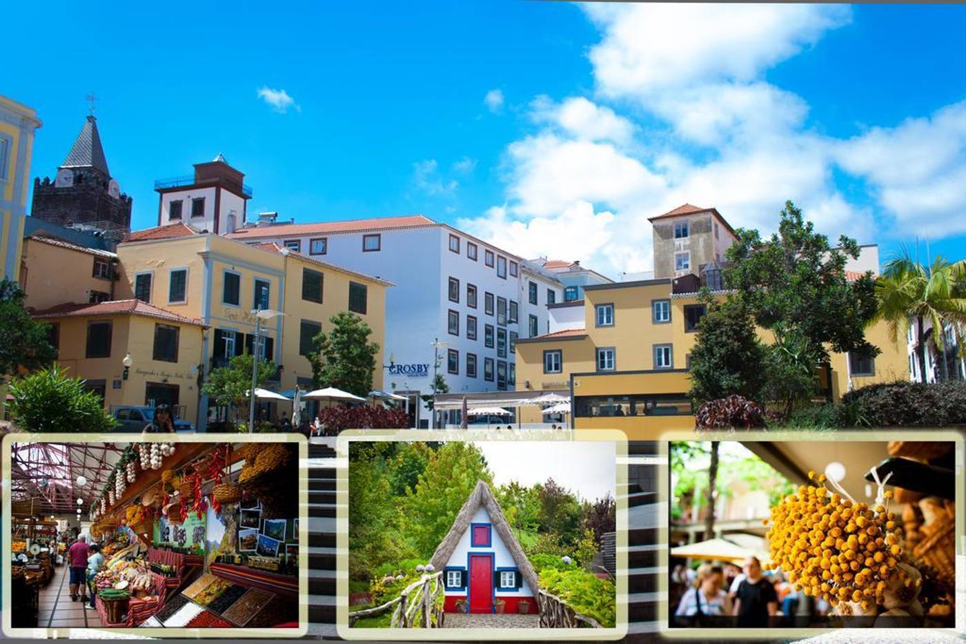 Residencial Funchal-Portugal-FUNCHAL -General view-1