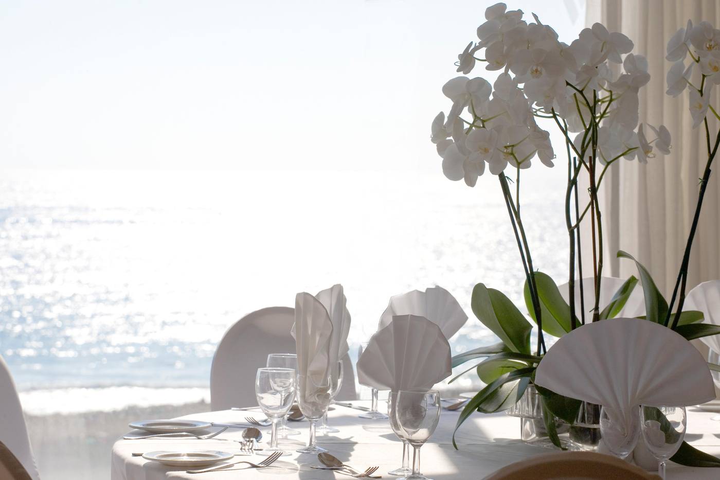 Venus-Beach-Conferences-37