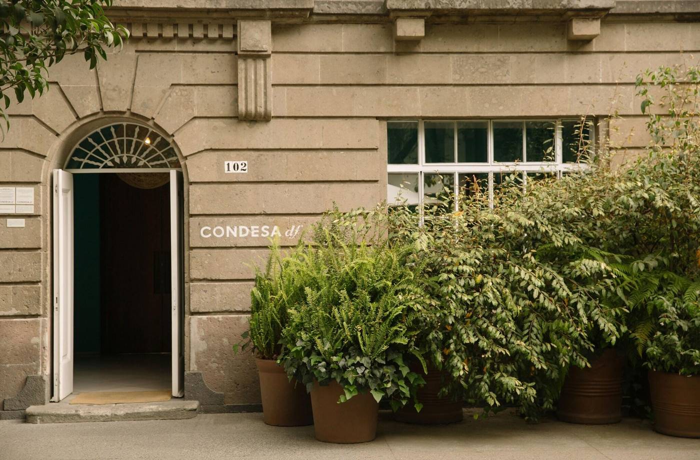 Condesa DF-Mexico-Ciudad De Mexico-General view-1