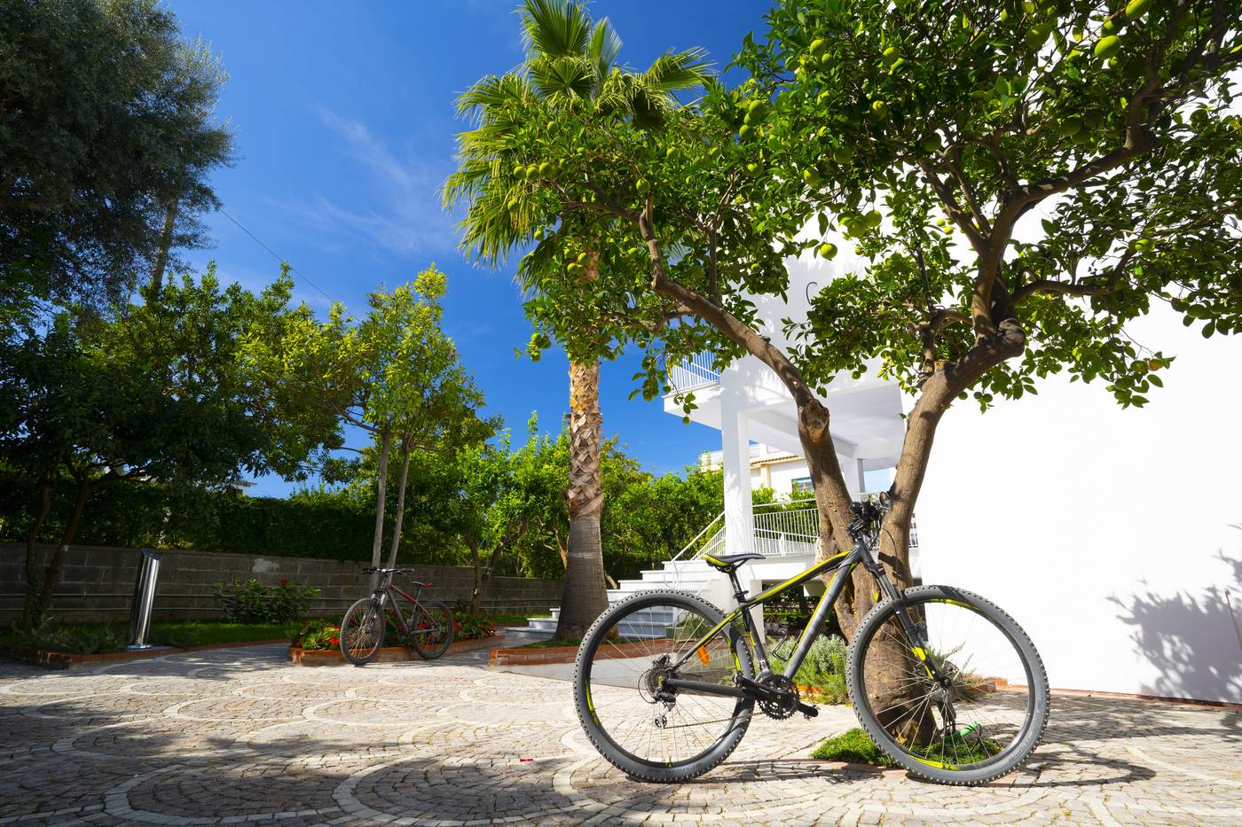 Villa Cettina Boutique Hotel-Italy-Sorrento-General view-7