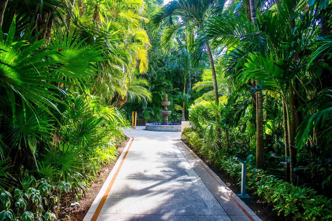 Occidental-Cozumel-General-view-24