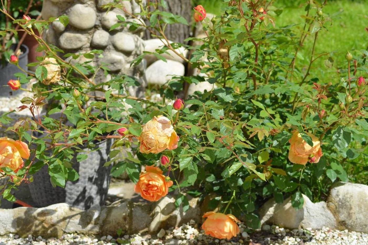 La Terrazza del Subasio-Italy-ASSISI (PG)-General view-7