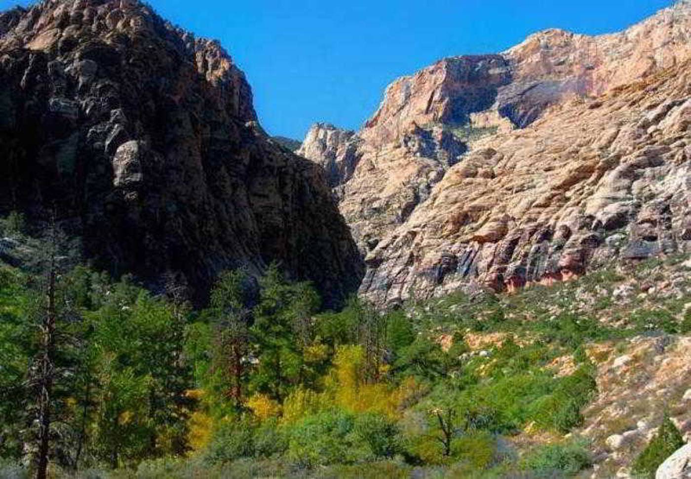 Residence Inn Las Vegas Hughes Center-United States-LAS VEGAS-General view-6