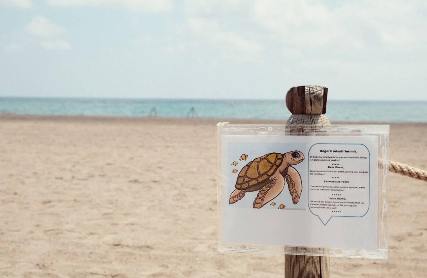 Crystal-Paraiso-Verde-Resort---Spa-Beach-67