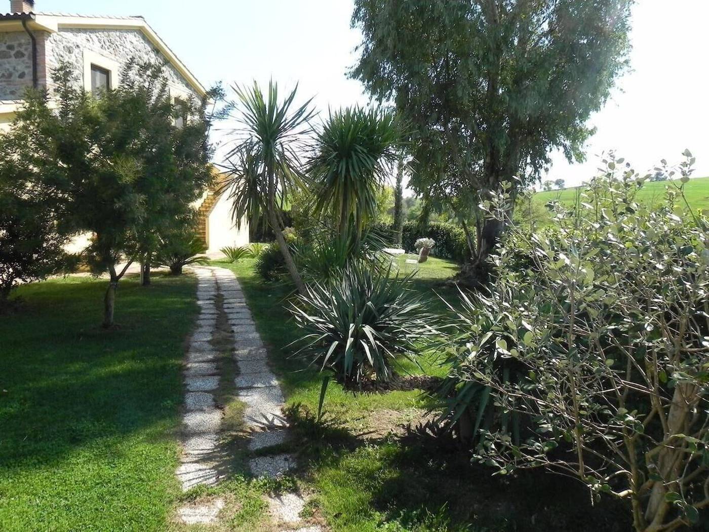 B&B Monte Di Bù-Italy-CAMPAGNATICO-General view-3