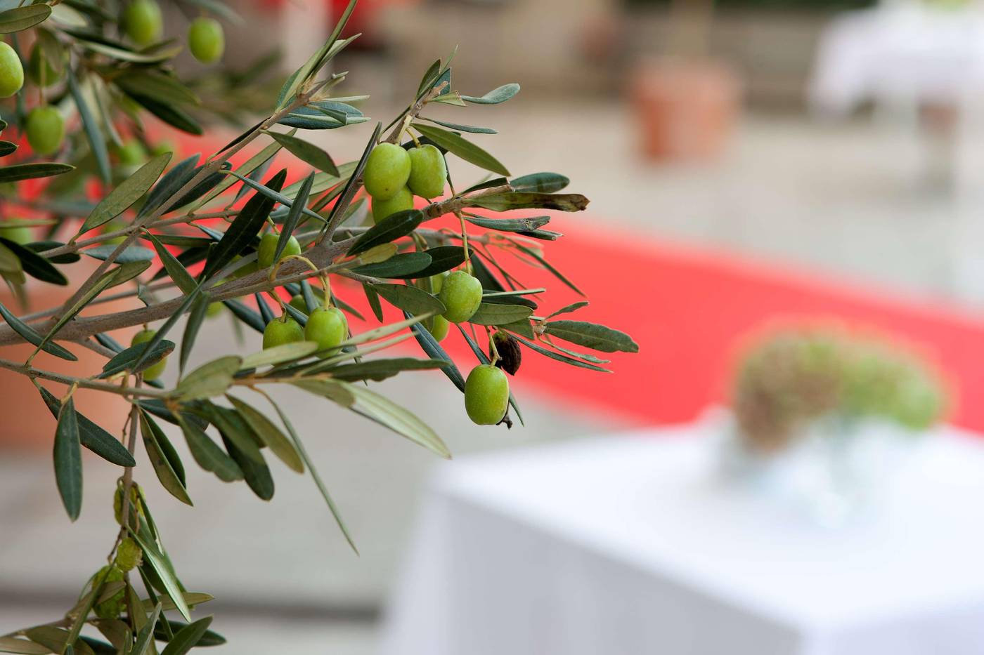 NH la Avanzada-Spain-LEIOA-General view-4