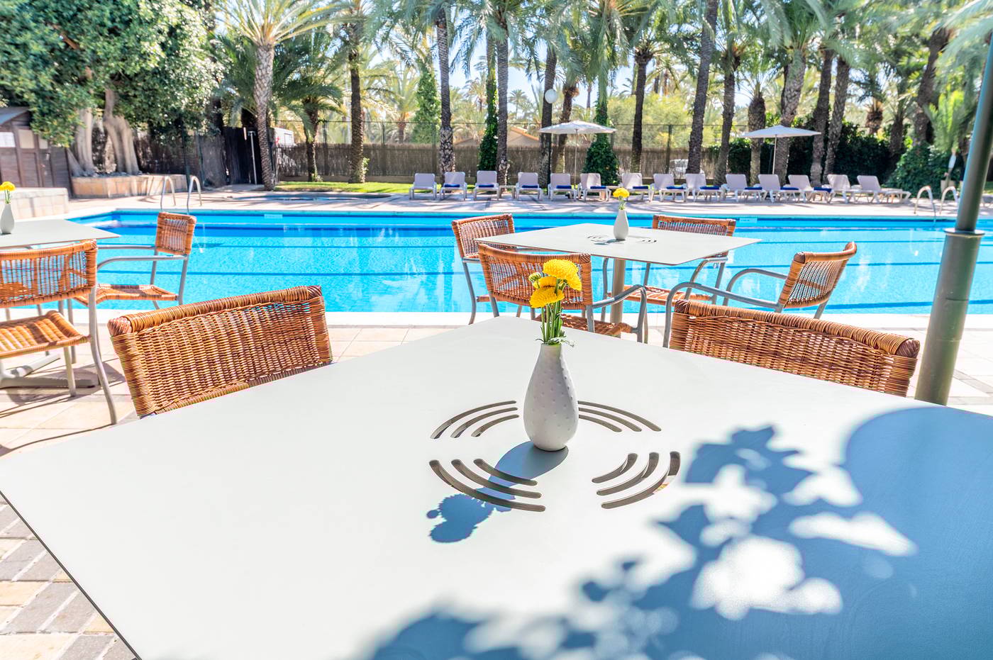 Jardin-Milenio-Hotel-Pool-10