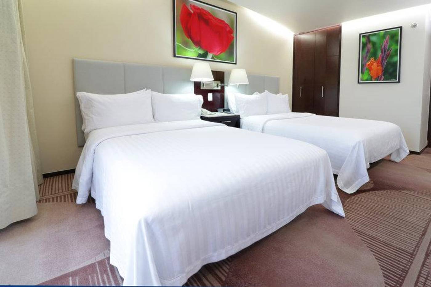 Holiday Inn & Suites Mexico Medica Sur-Mexico-Ciudad De Mexico-General view-2