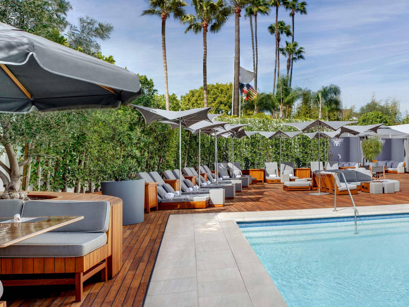 Cameo-Beverly-Hills-Pool-56