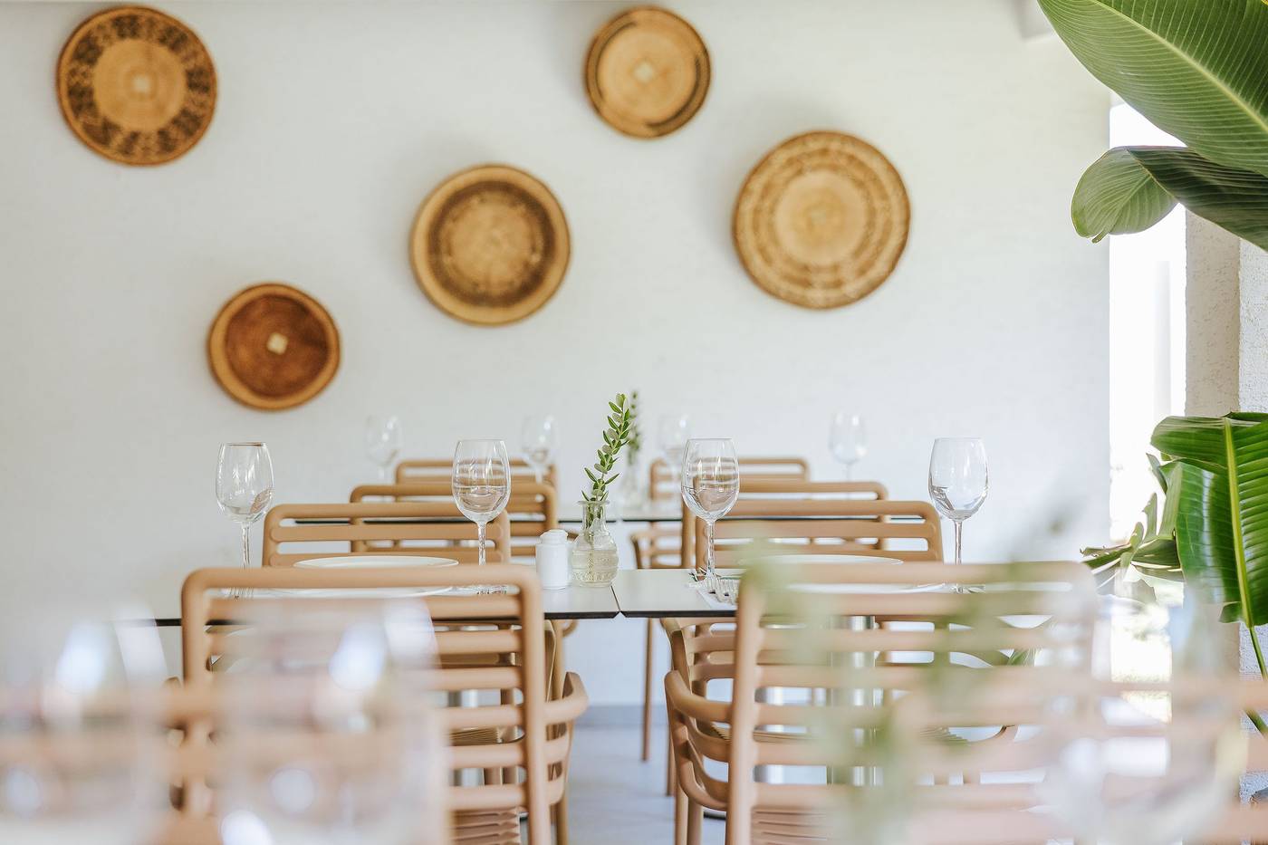 Nissi-Park-Restaurant-23