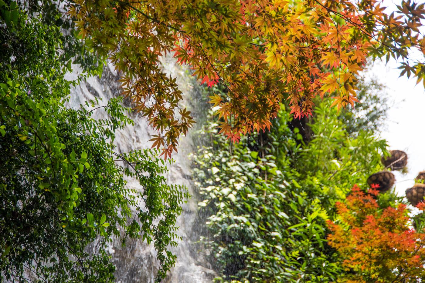 Hotel-Santo-Domingo-General-view-56