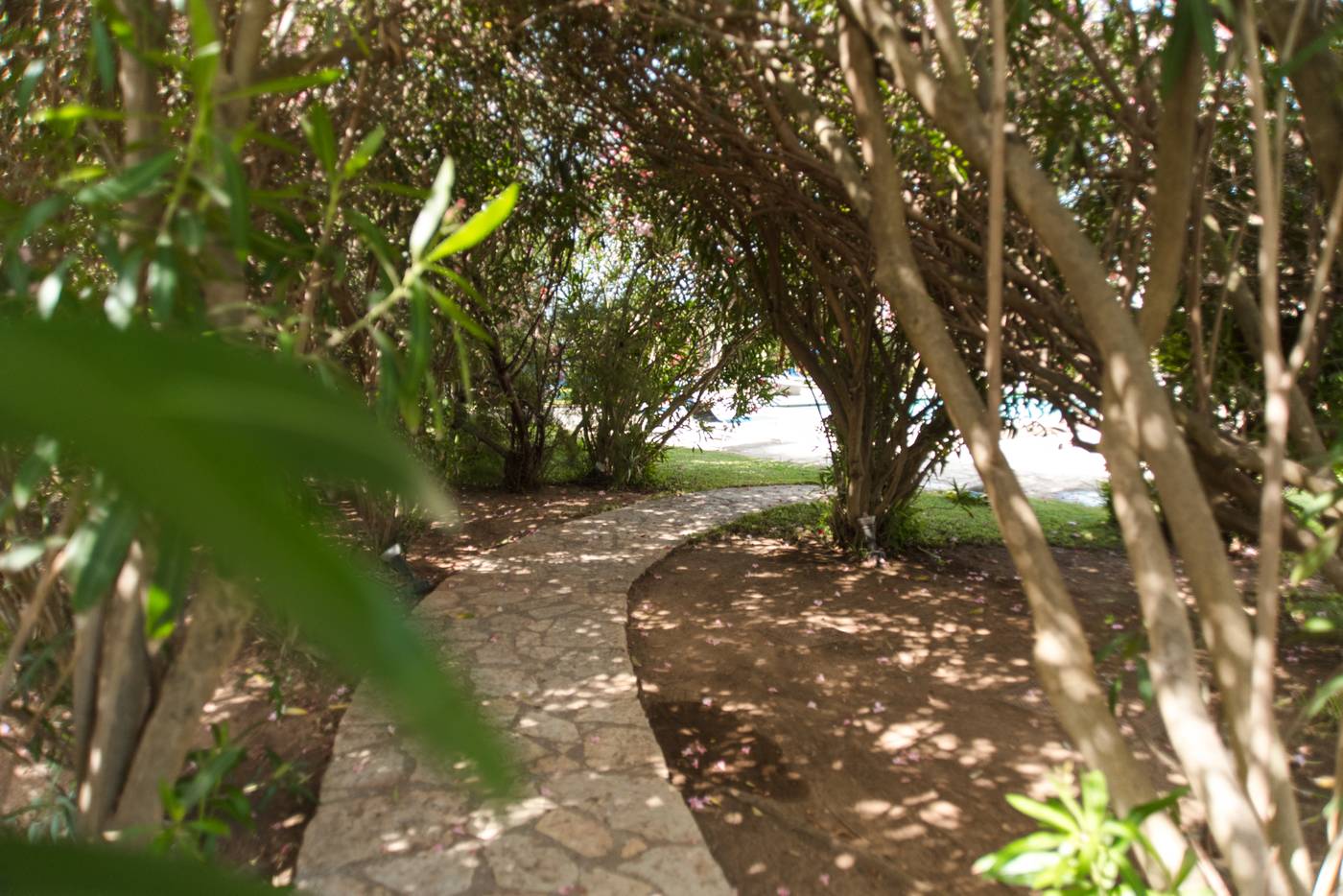 Relais-Antiche-Saline-Pool-40