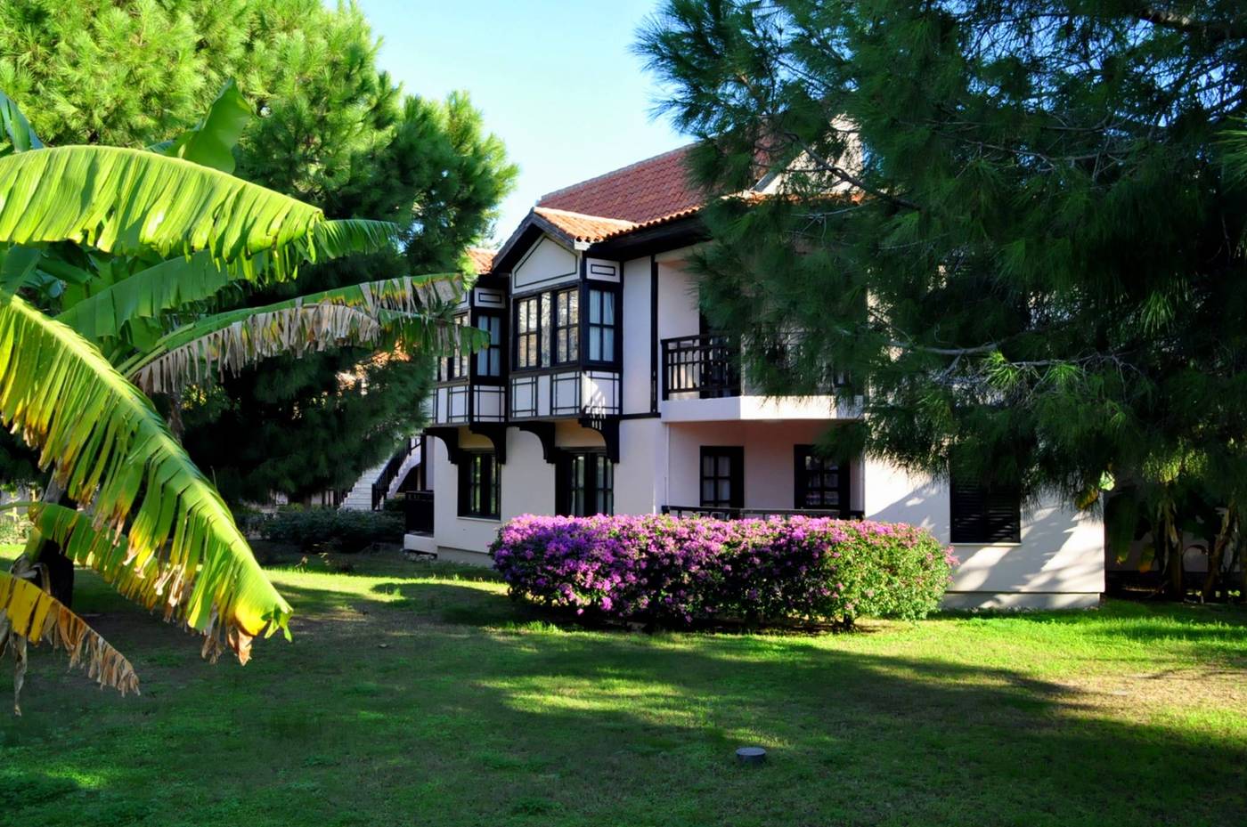 Starlight-Resort-Hotel-General-view-19