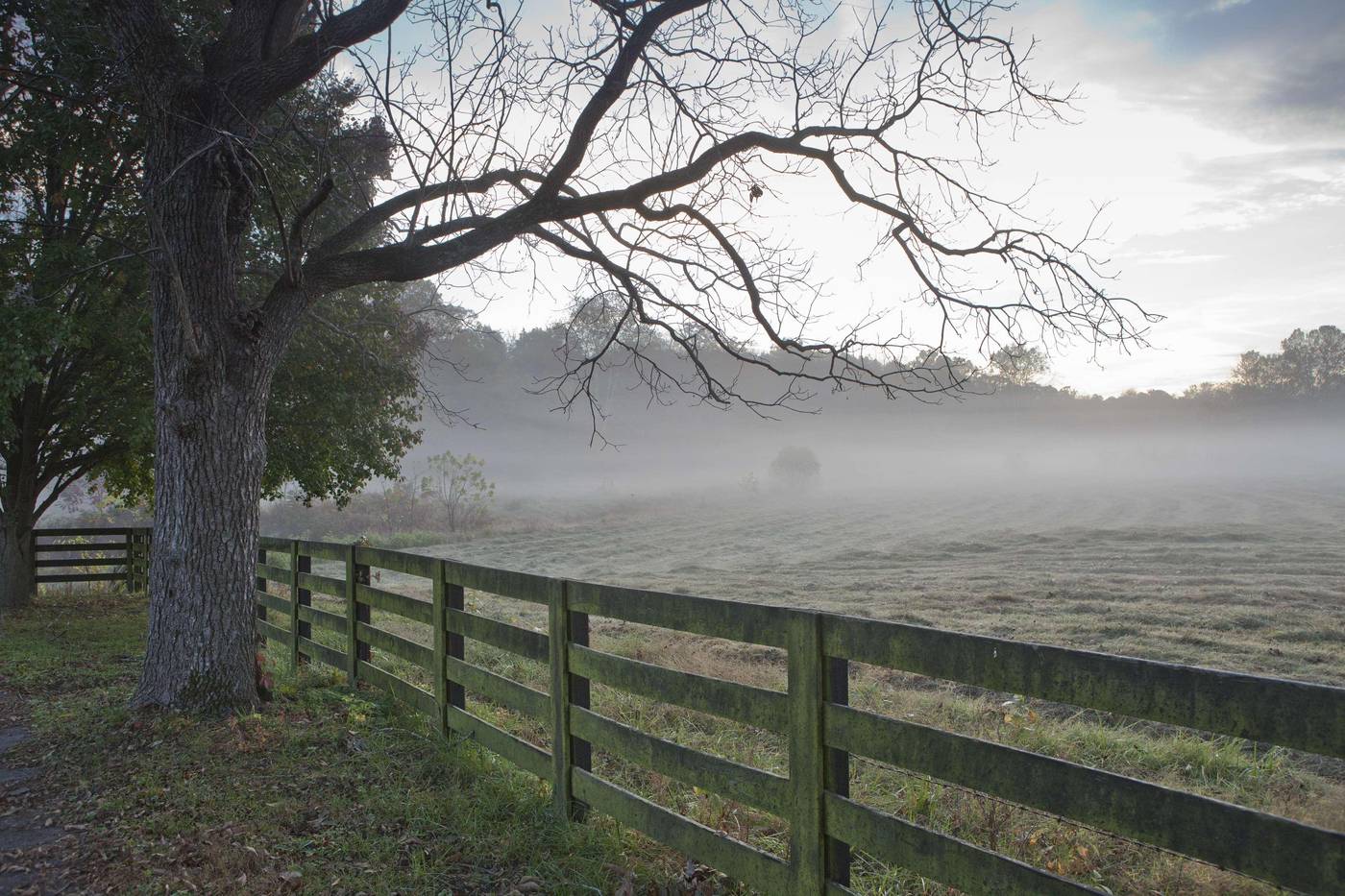 The Hermitage Hotel-United States-Nashville-General view-8