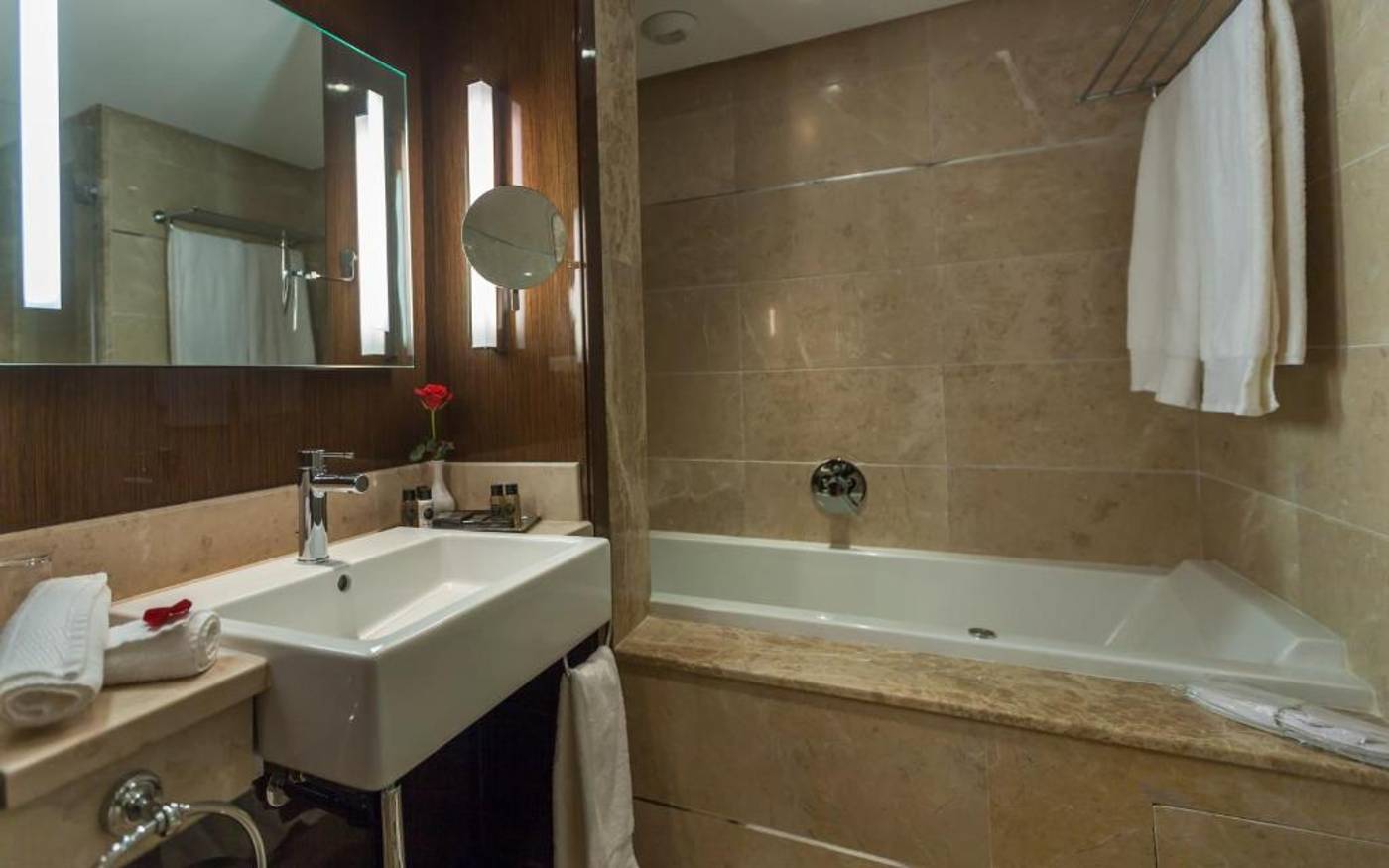 Laico-Tunis-Spa---Conference-Center-Room-11