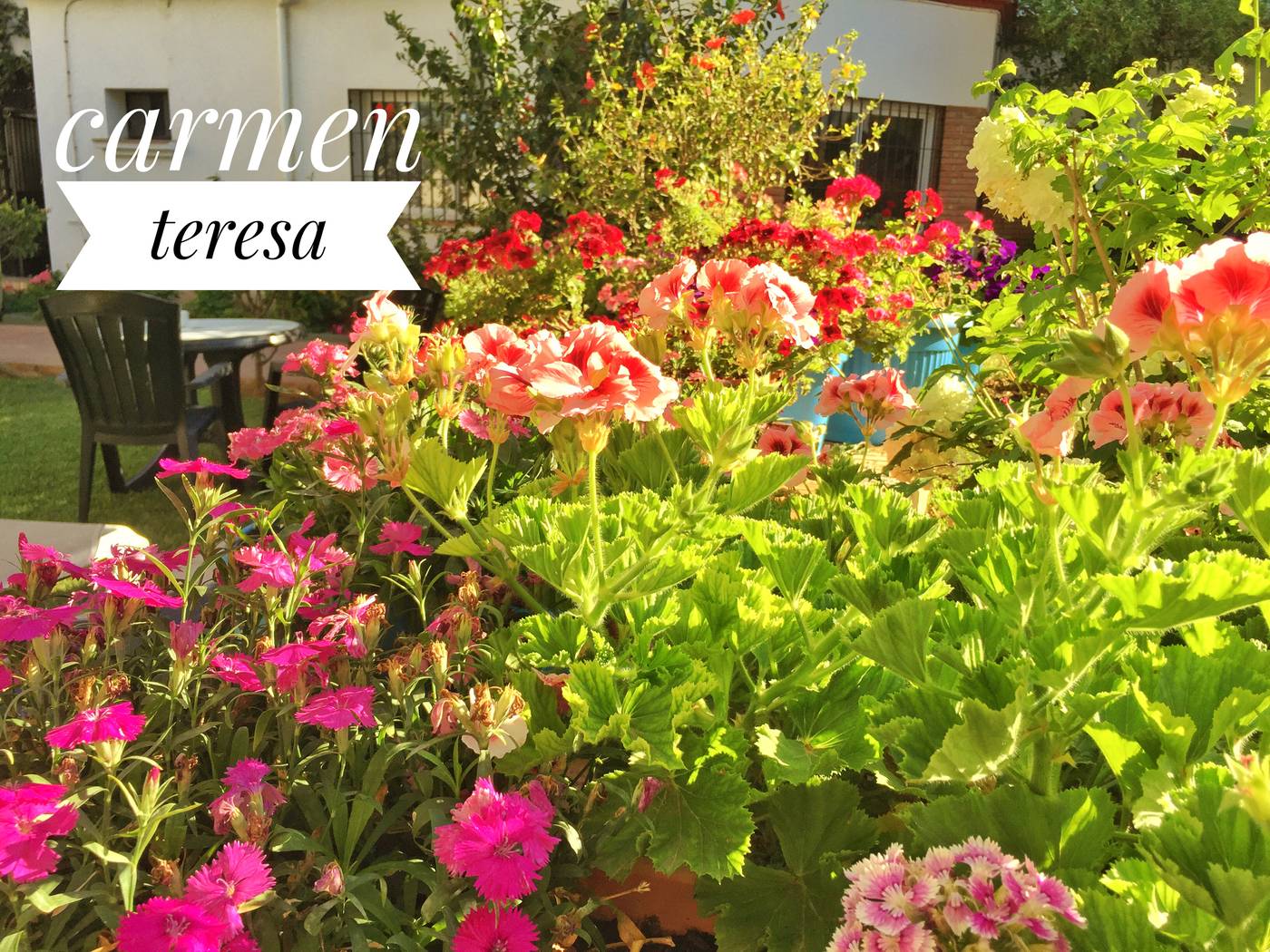 Carmen-Teresa-Terrace-13