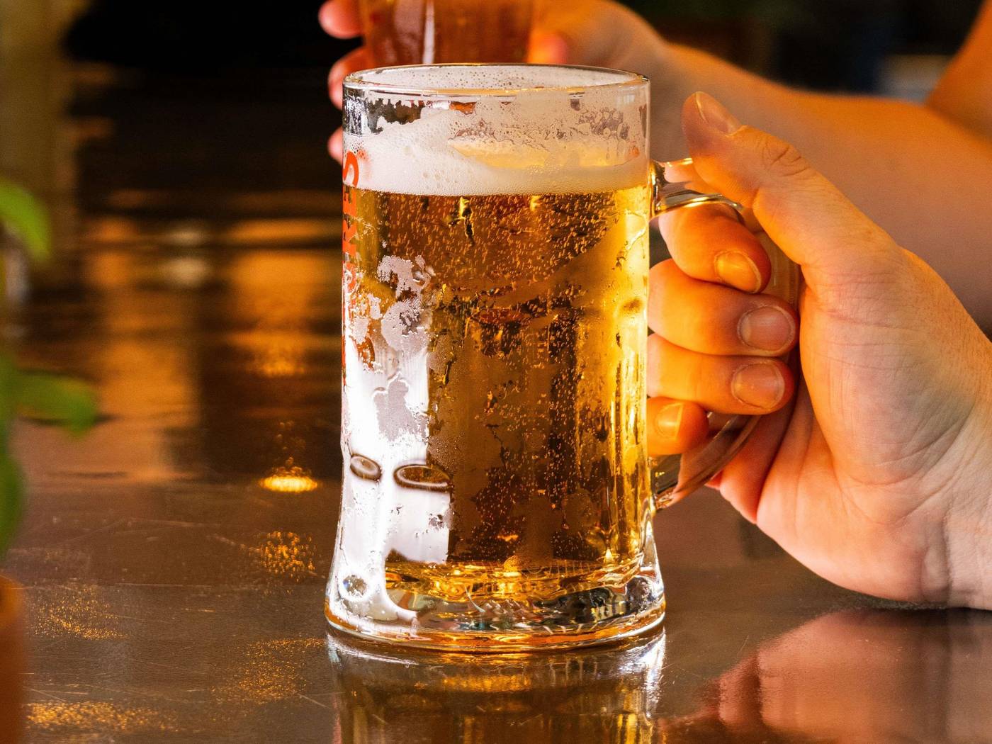 ibis-Lisboa-Parque-das-Nacoes-Bar-65