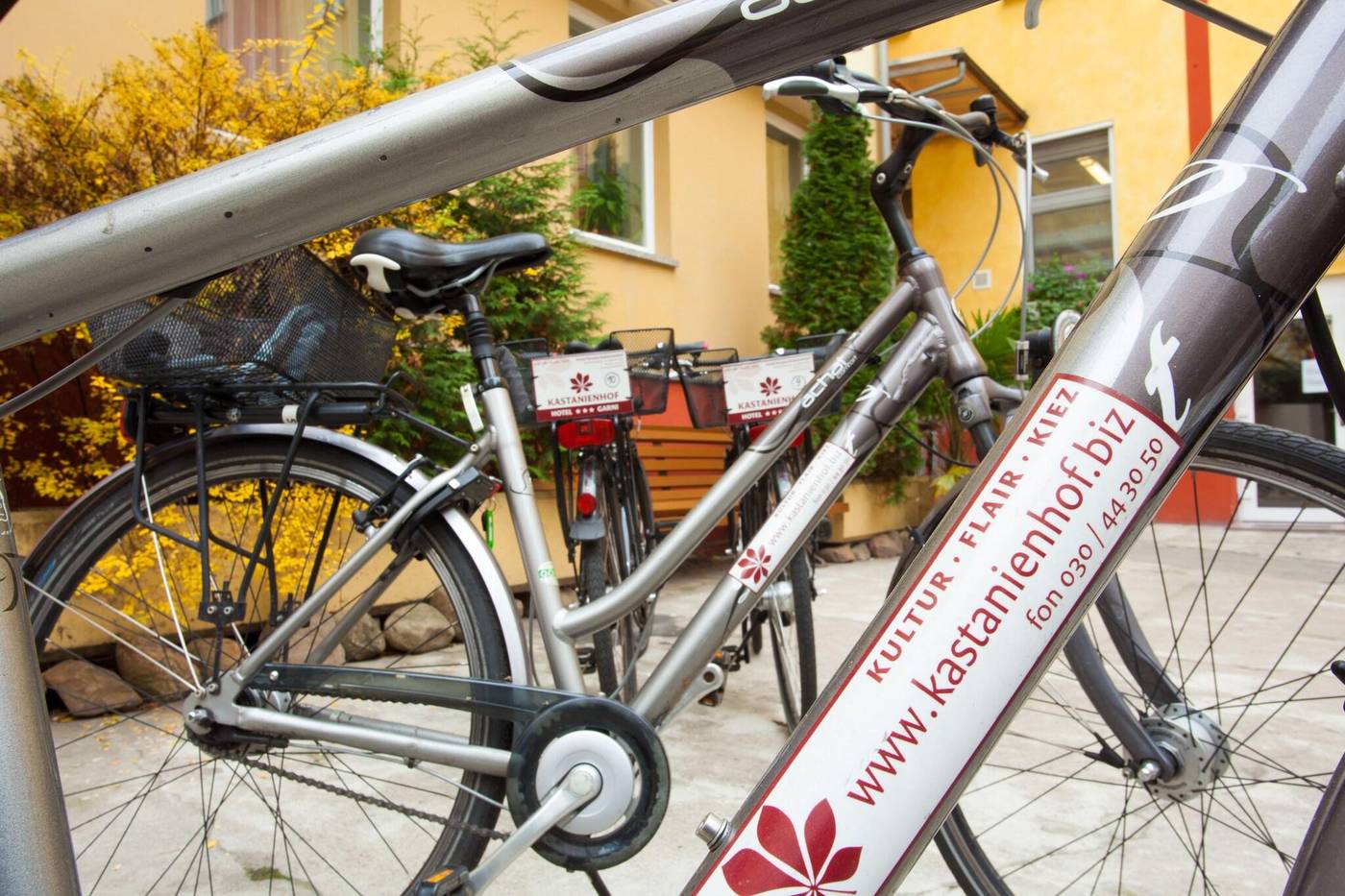 Hotel-Pension-Kastanienhof-Sports-and-Entertainment-3