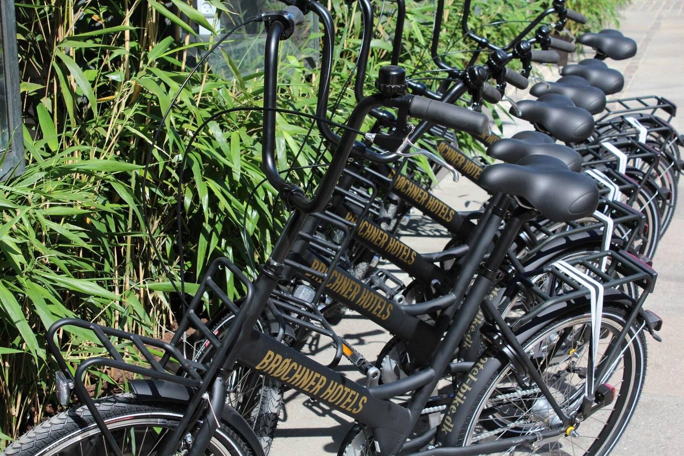 Hotel-SP34-Sports-and-Entertainment-54