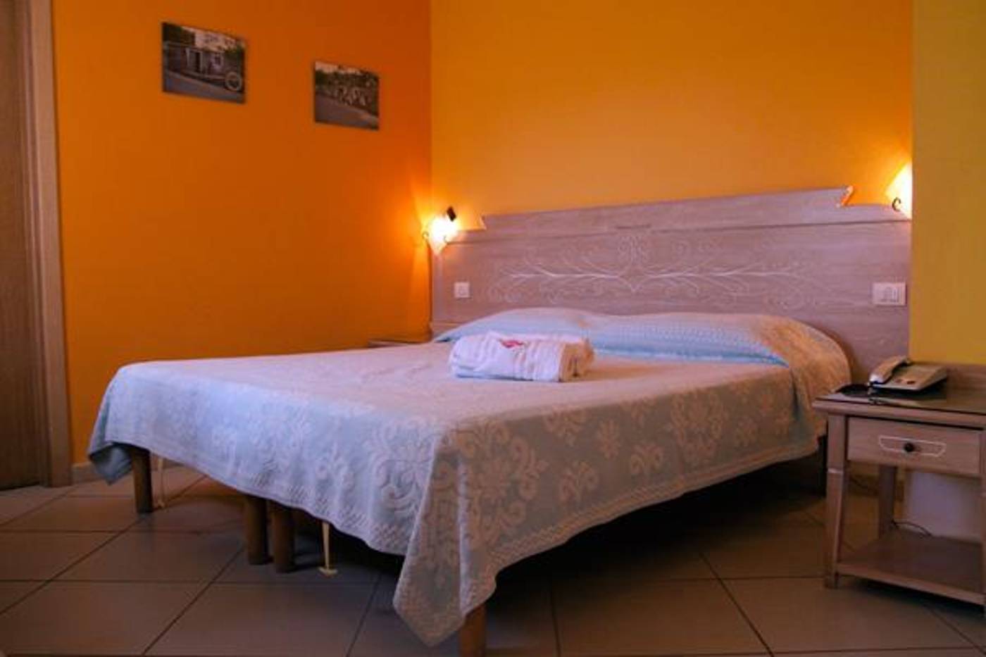 Bonsai-General-view-17