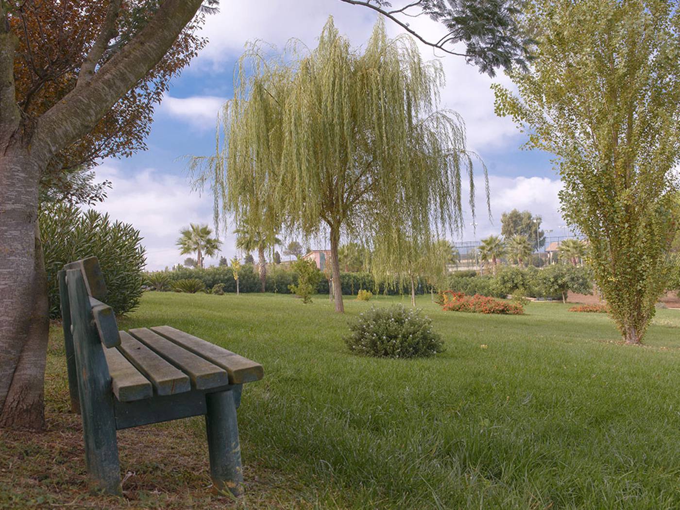 Popilia Country Resort-Italy-MAIERATO (VV)-General view-3