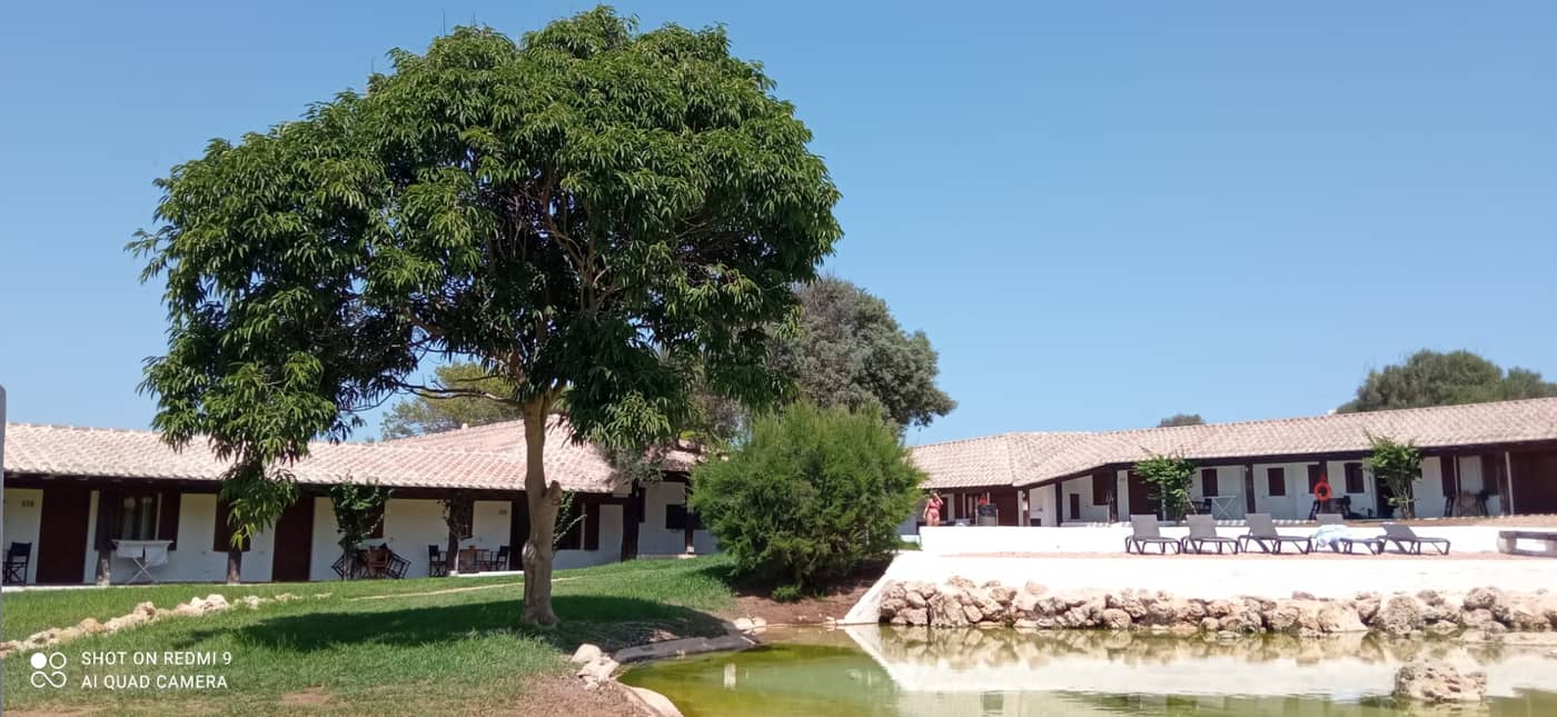 ATH-Binivell-Park-Pool-4