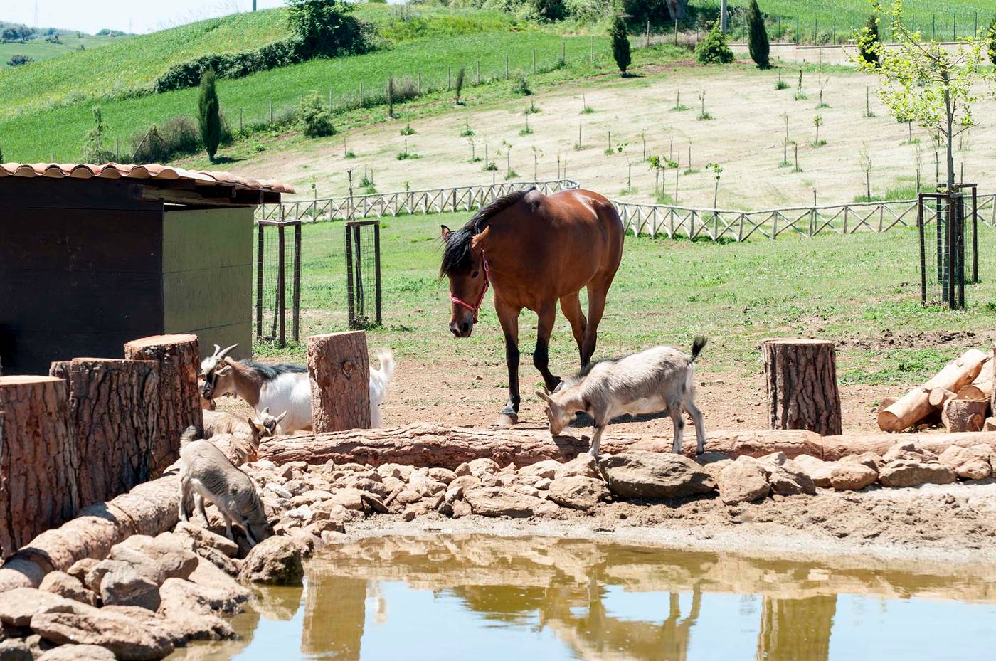 Popilia Country Resort-Italy-MAIERATO (VV)-General view-6