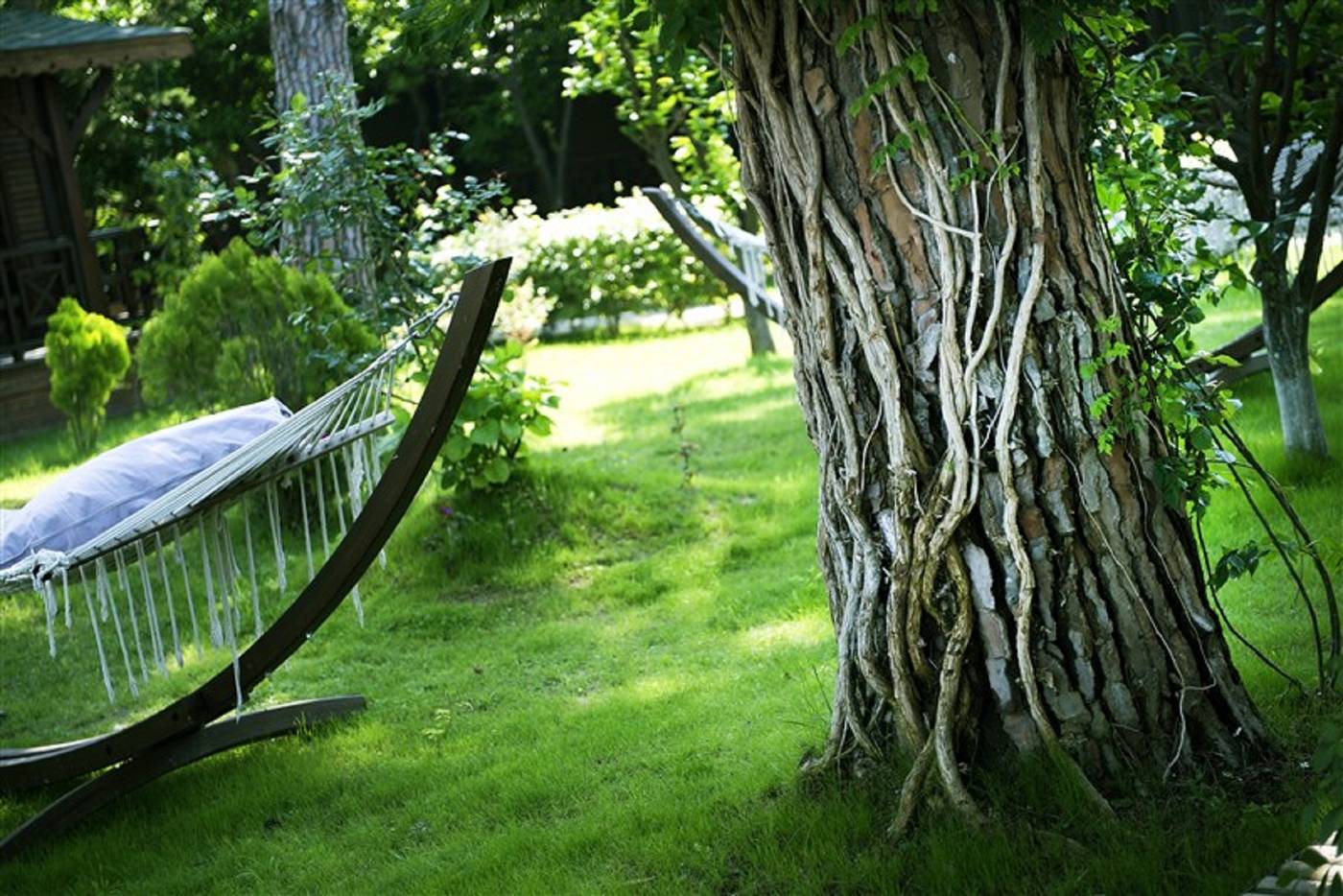 Sentido-Flora-Garden---Adults-Only-General-view-92