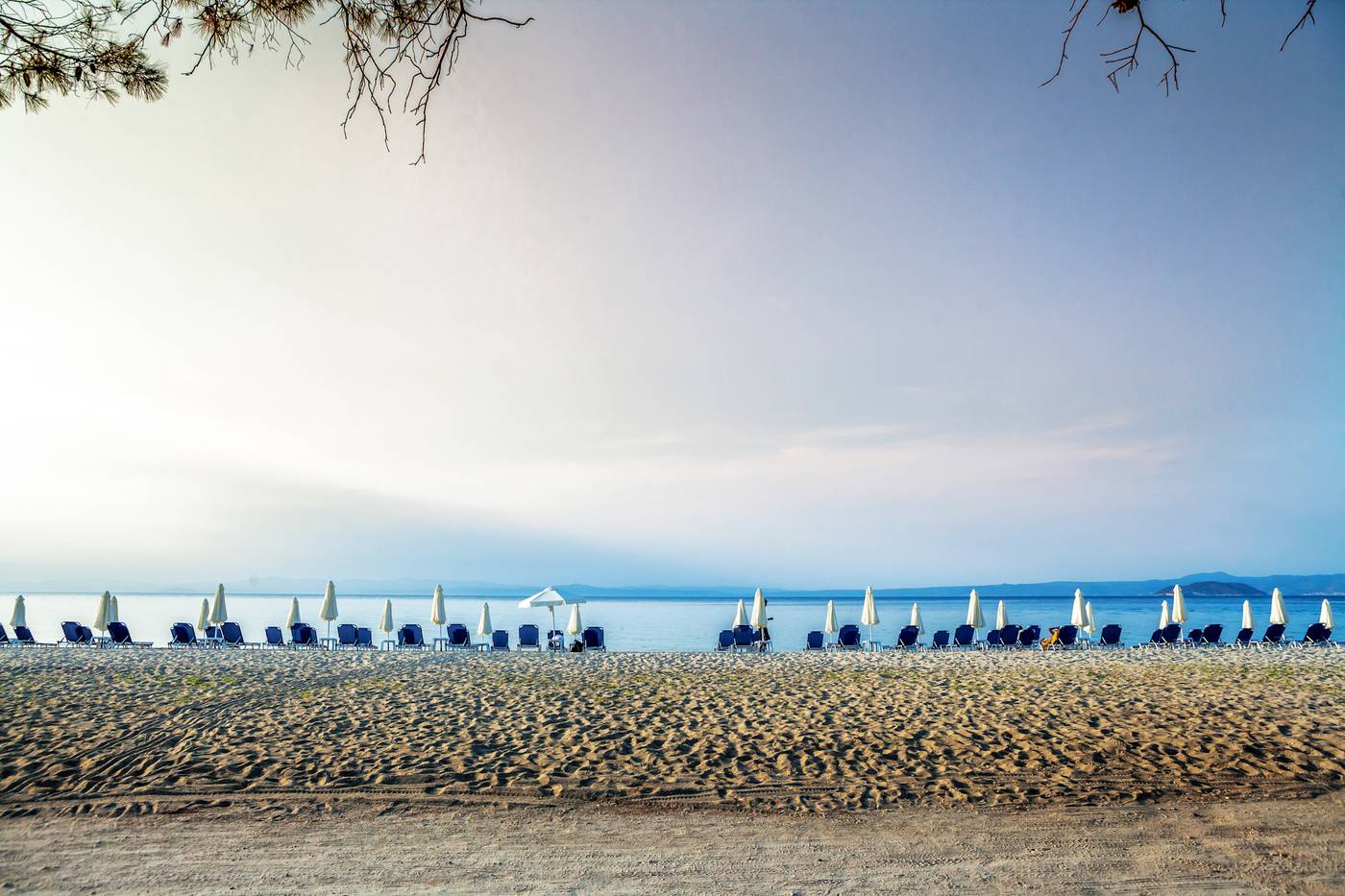 Port-Marina-General-view-58