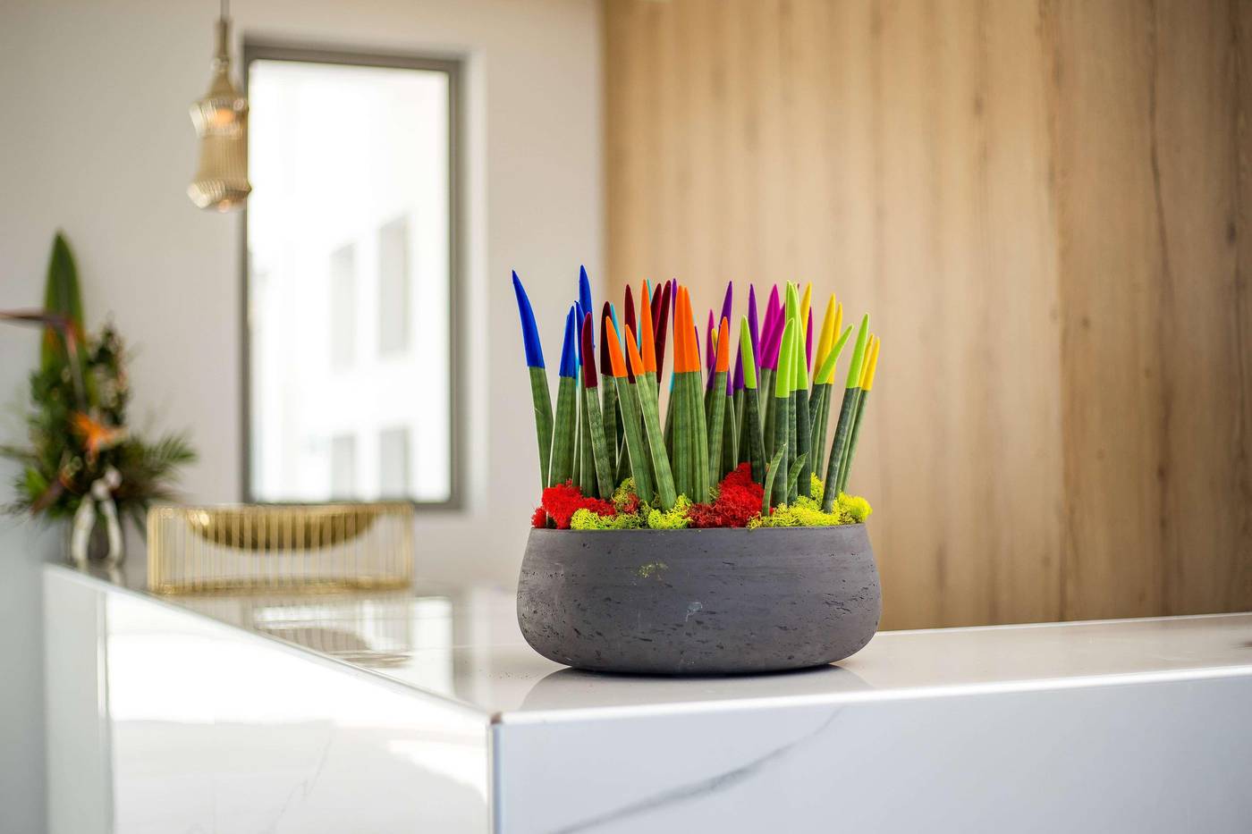 Venezia-Resort-Hotel-Lobby-89