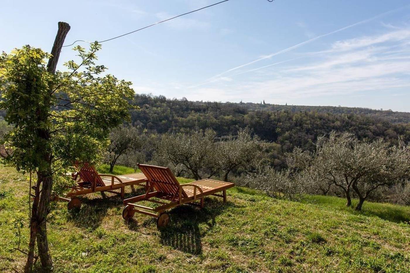 Residence Gold Istra-Slovenia-PIRAN-General view-2