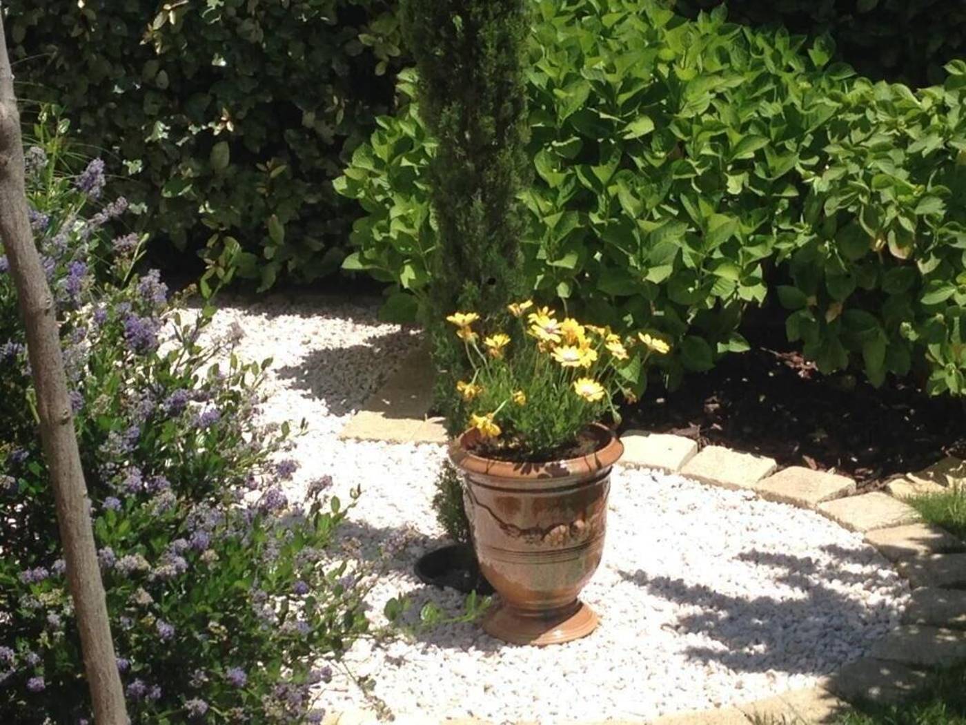 La Glycine Blanche-France-POMAS-General view-10