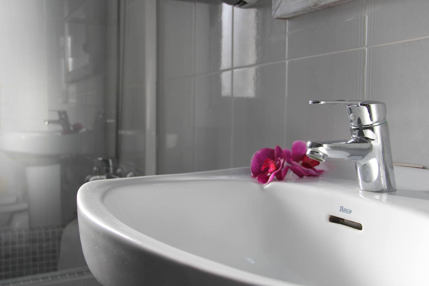 Apartamentos-Royal-Life-General-view-52