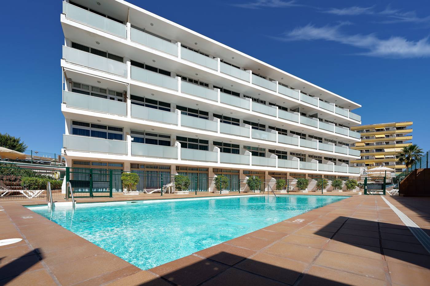 Strelitzias-General-view-2