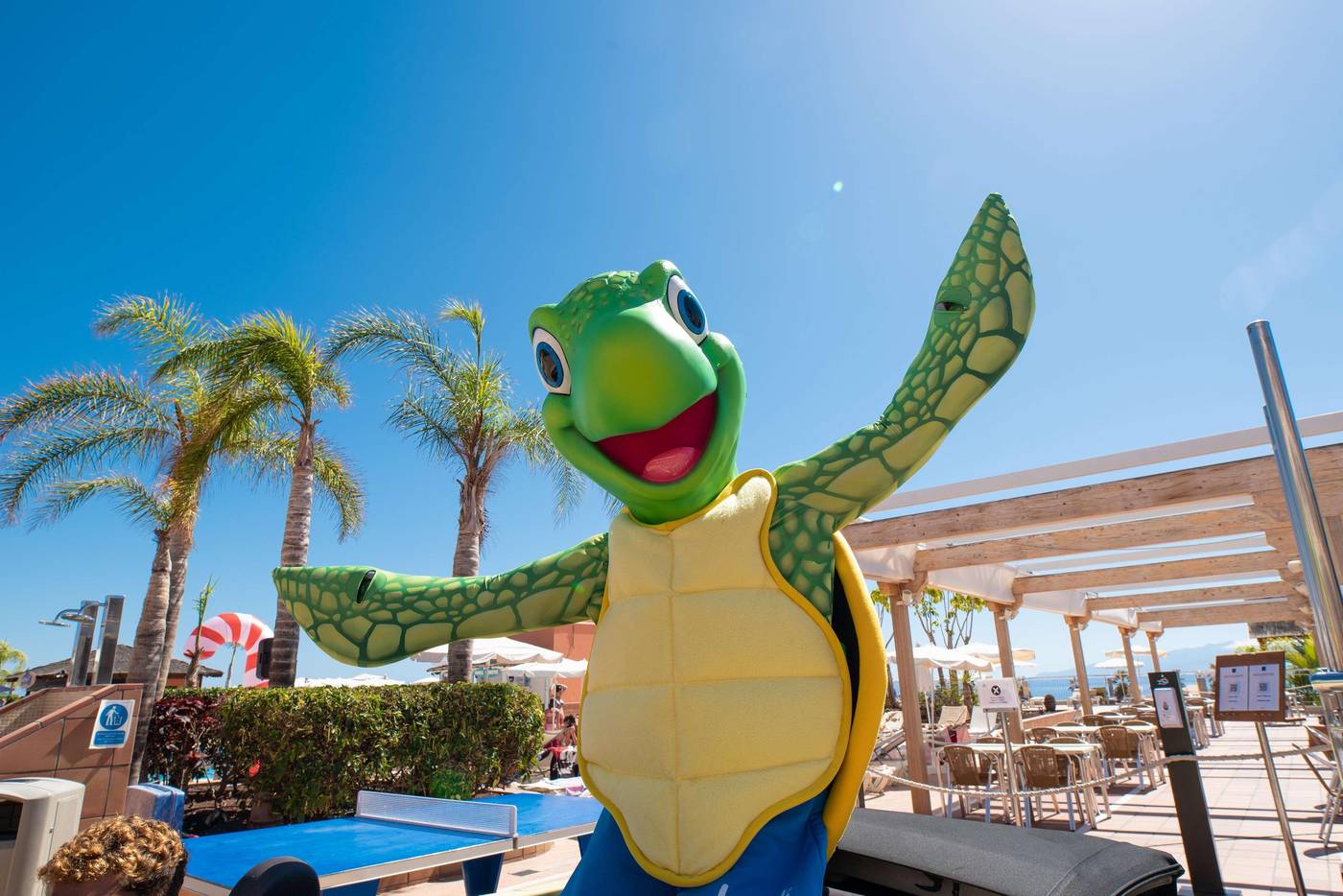 Landmar-Hotel-Costa-de-los-Gigantes-General-view-25