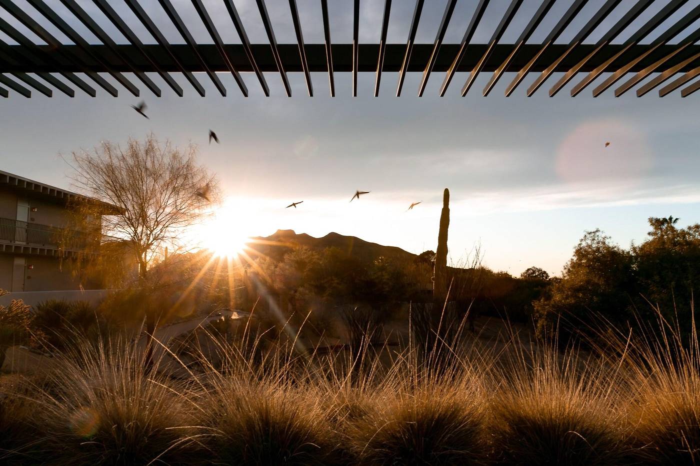 Civana Carefree-United States-Carefree-General view-8