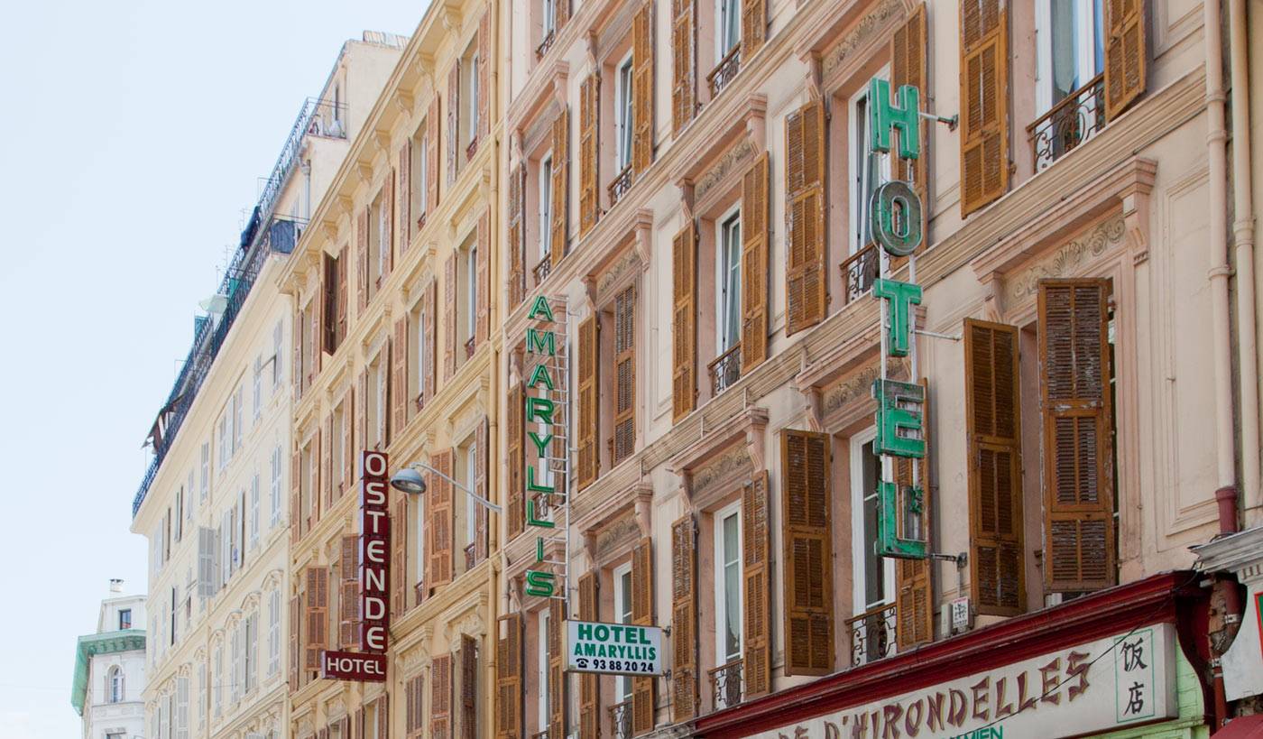 Amaryllis-General-view-1