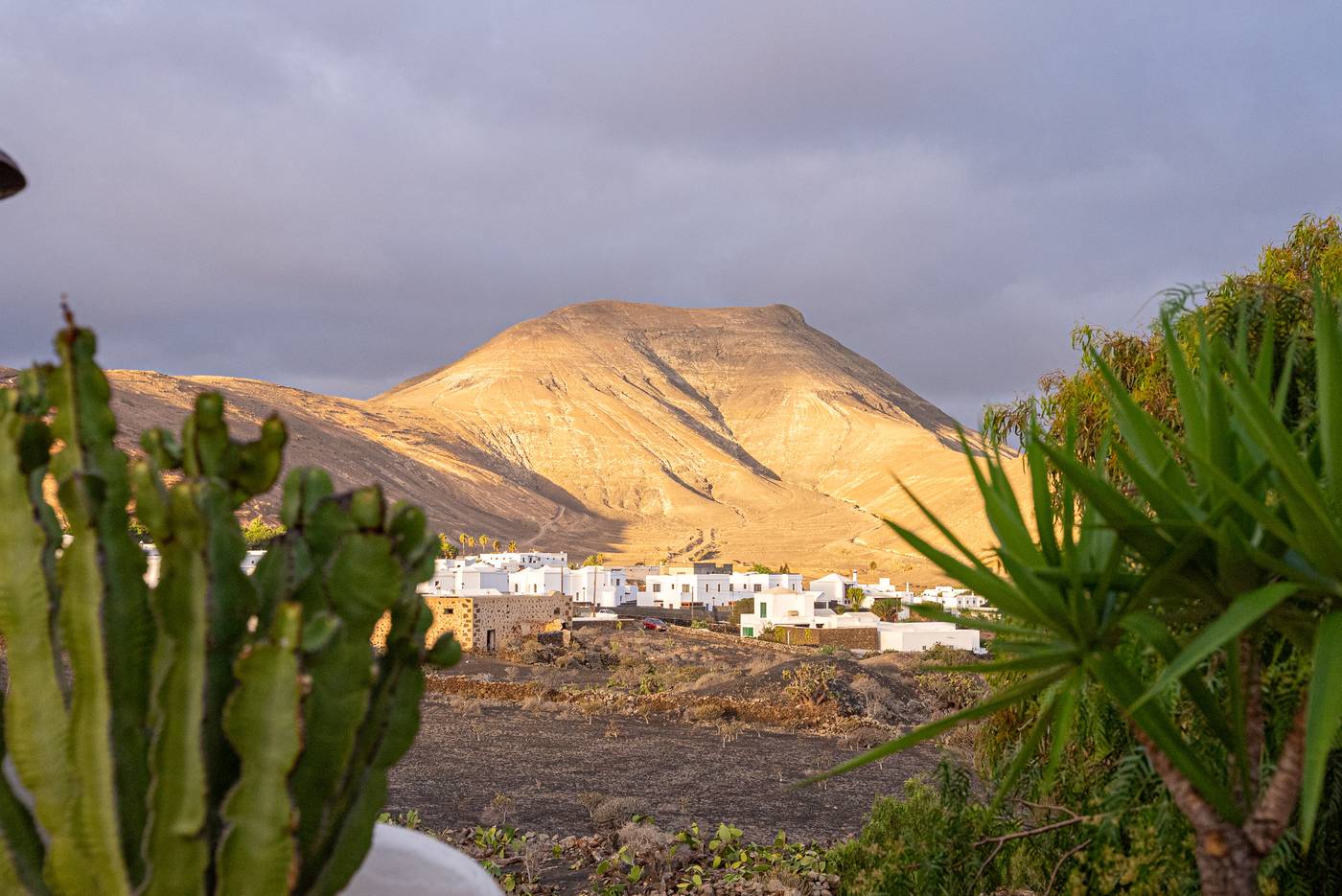 Casa-de-Hilario-General-view-28