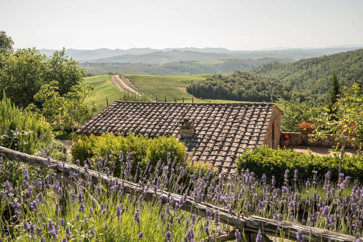 Eh-Villa-Dievole-General-view-9