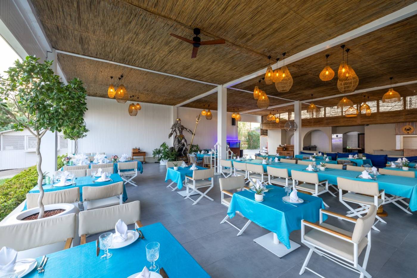 Nirvana Cosmopolitan