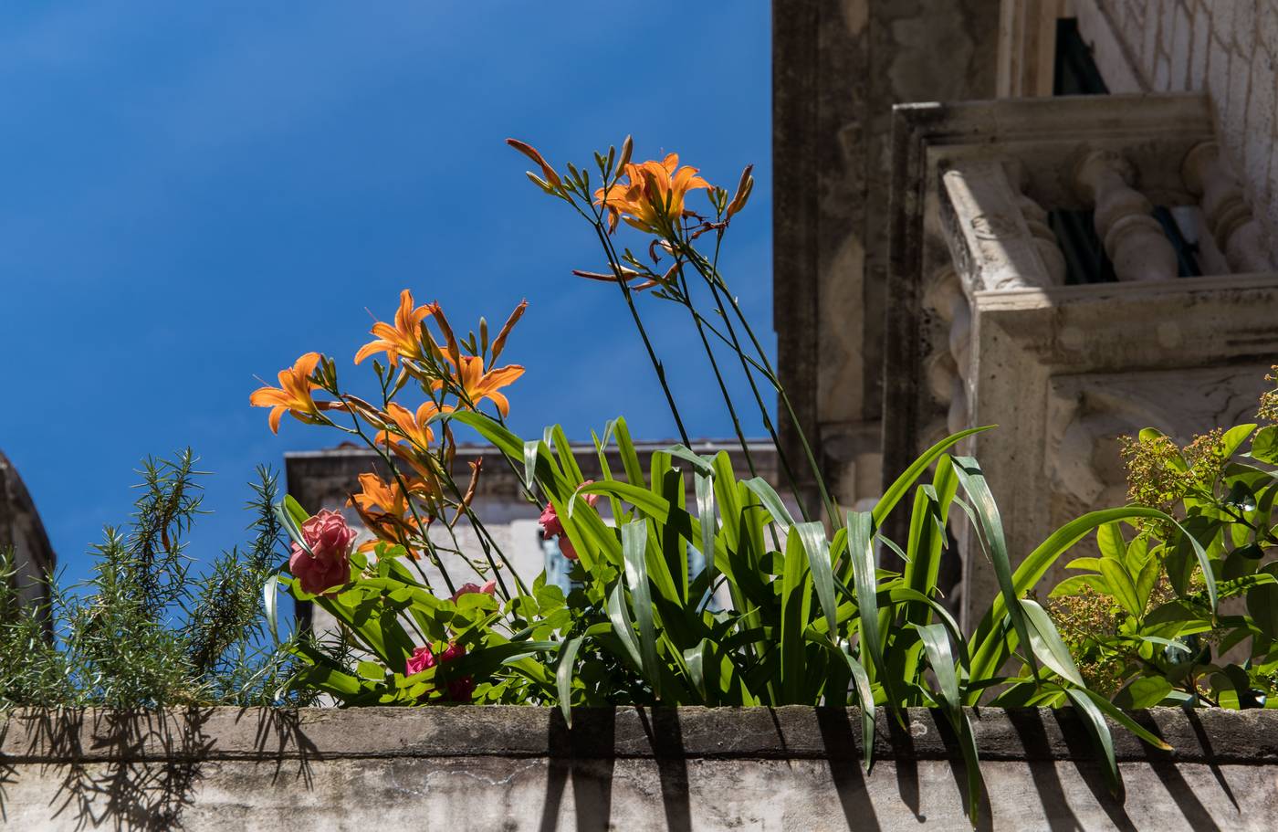 Slavija-Culture-Heritage-Hotel-Room-10