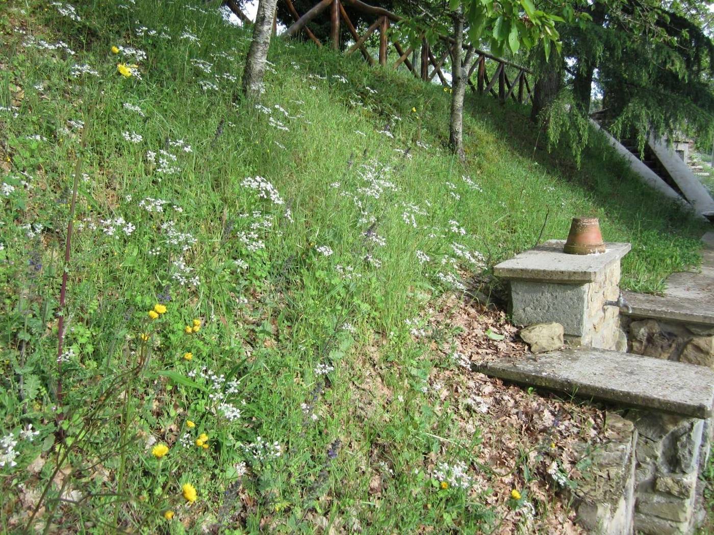 Bed-And-Breakfast-Country-Hill-General-view-18