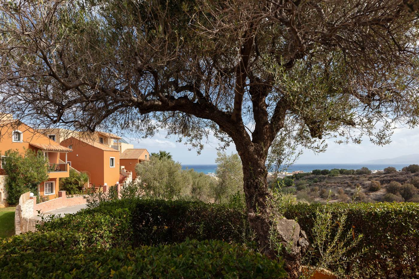 Dia-Apts-General-view-23