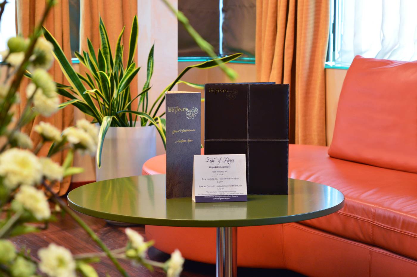 Les Fleurs Boutique Hotel-Bulgaria-SOFIA-General view-2