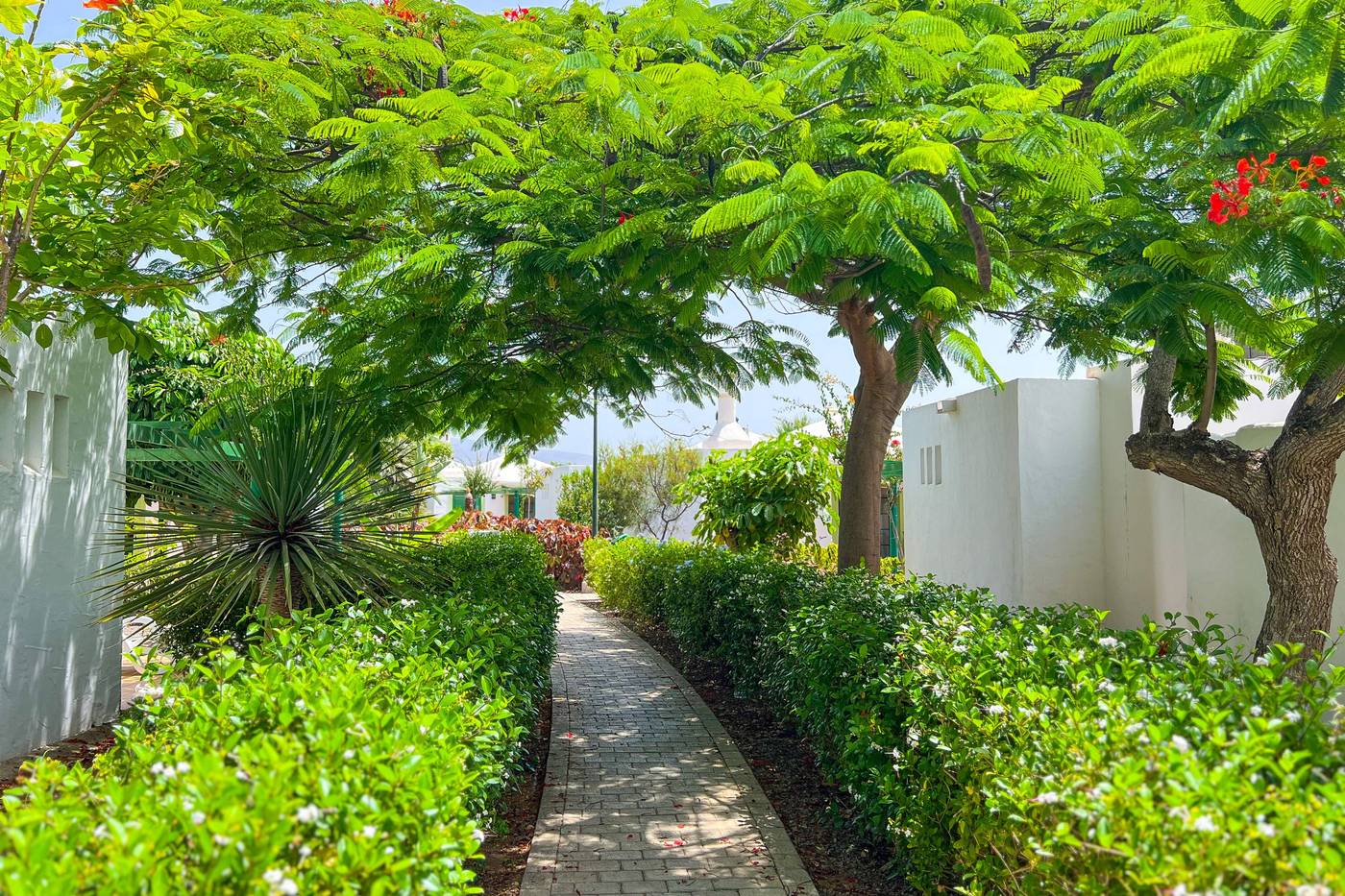 Cordial-Sandy-Golf-General-view-11