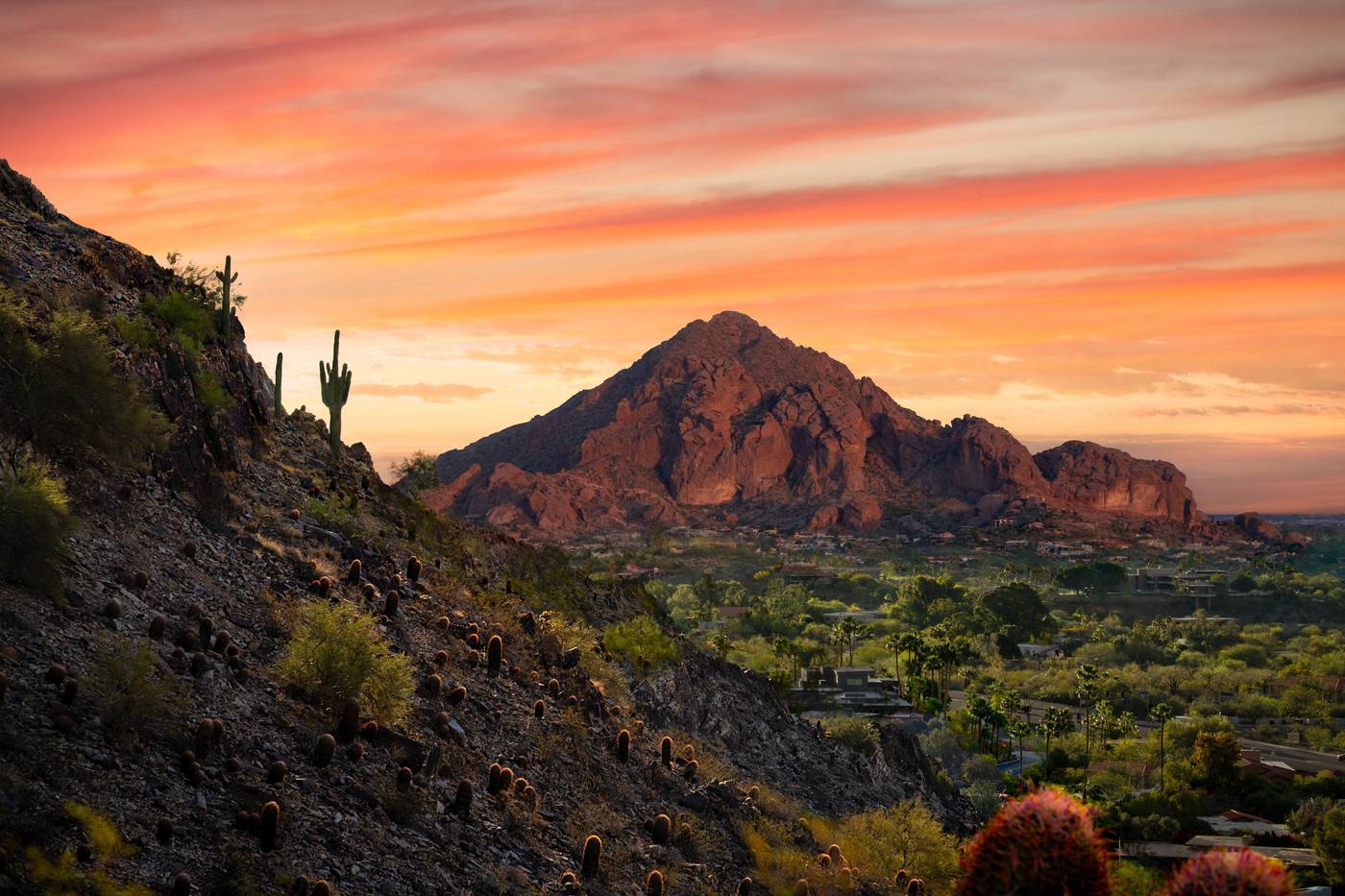 Holiday Inn Express & Suites Phoenix - Airport No-United States-Phoenix-General view-9