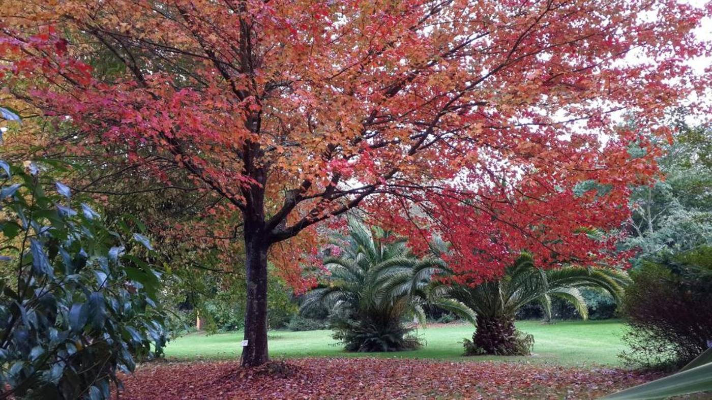 El Habana-Spain-LLANES-General view-2