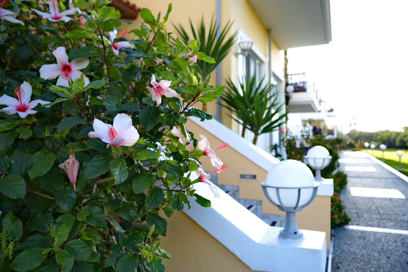 Aegean-Houses-General-view-18