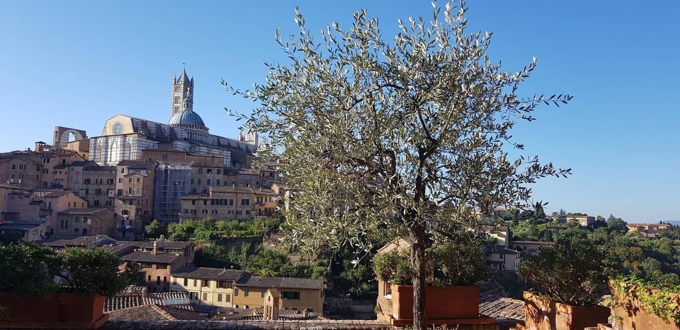 Campo Regio Relais-Italy-SIENA-General view-9